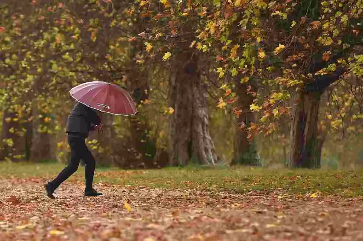 Un home corrent sota la pluja i el fort vent en un parc