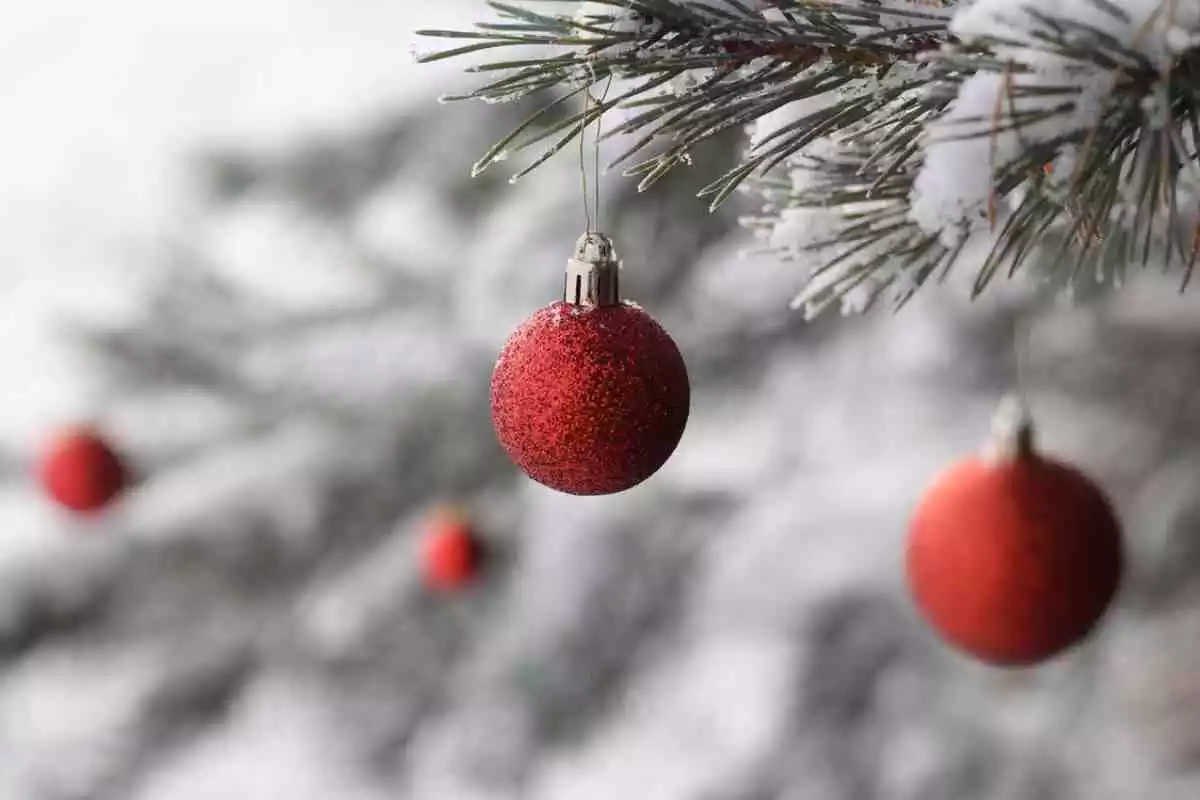 Imatge d'un arbre de Nadal nevat