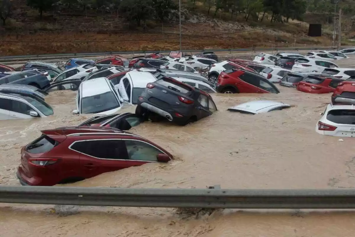 Cotxes en una inundació