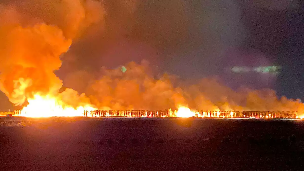 Incendi en una zona de Palmeres a la carretera T-340 a Deltebre on ha afectat 10 hectàrees de superfície. 22 de desembre de 2019.