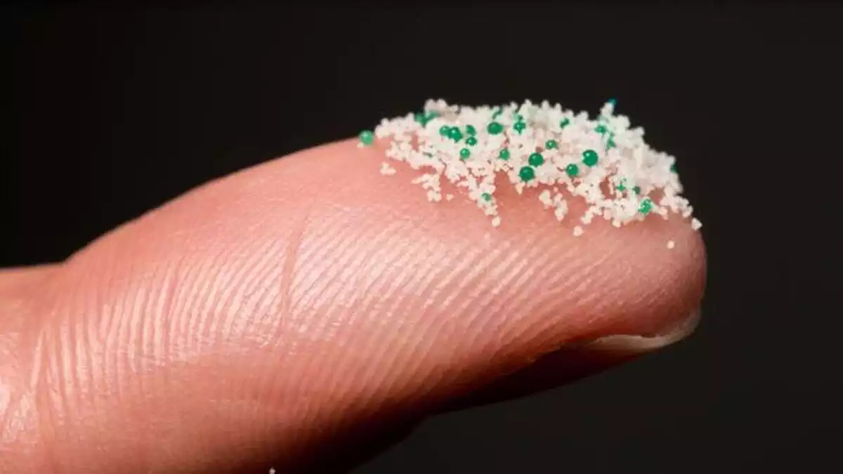 Los microplásticos son fragmentos de plástico con un diamétro de 5 mm o menos.