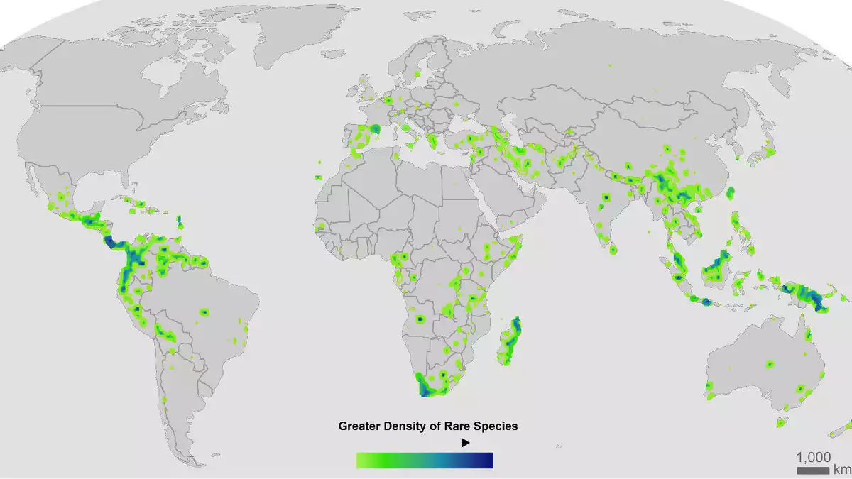 Focos globales de especies raras en el mundo