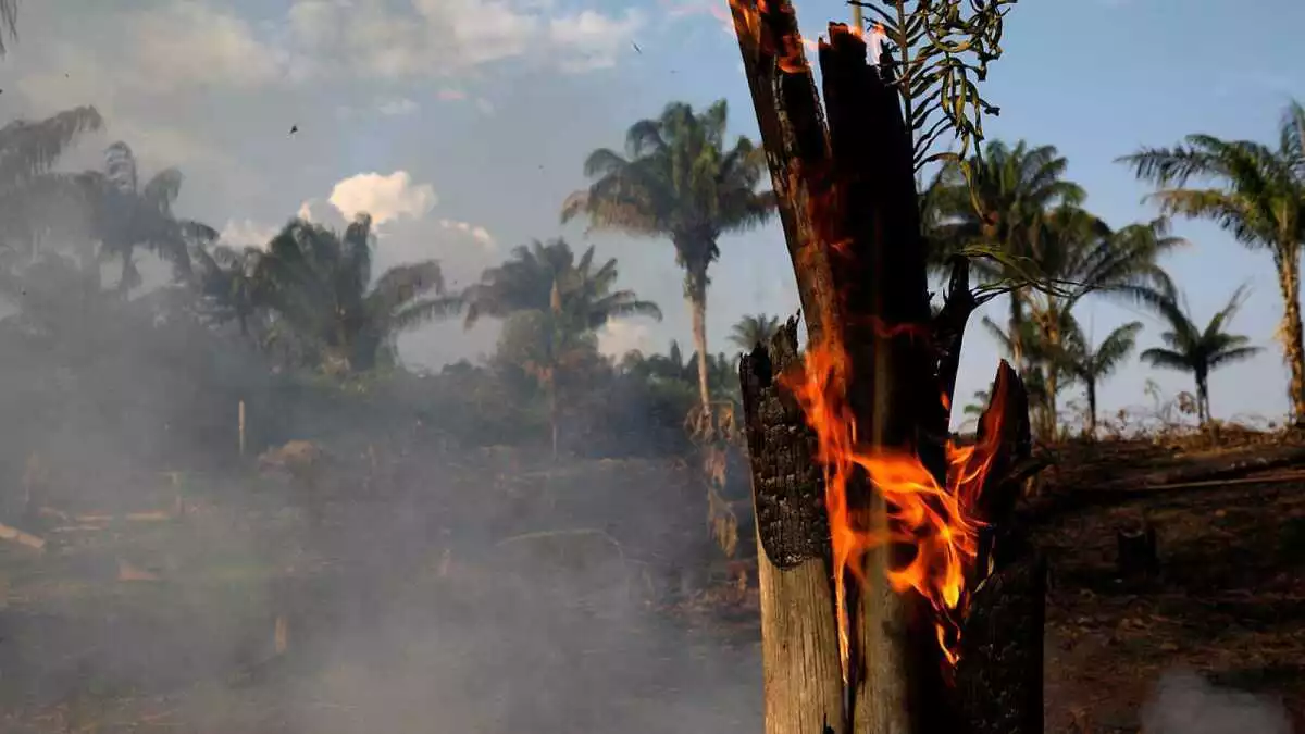 Els incendis a l'Amazònia s'estenen sense control i provoquen moltes reaccions a Twitter, algunes descontextualitzades