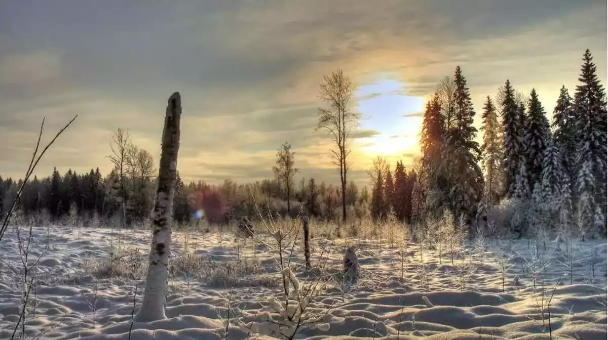 Paisatge hivernal típic del nord d'Europa en ple solstici d'hivern