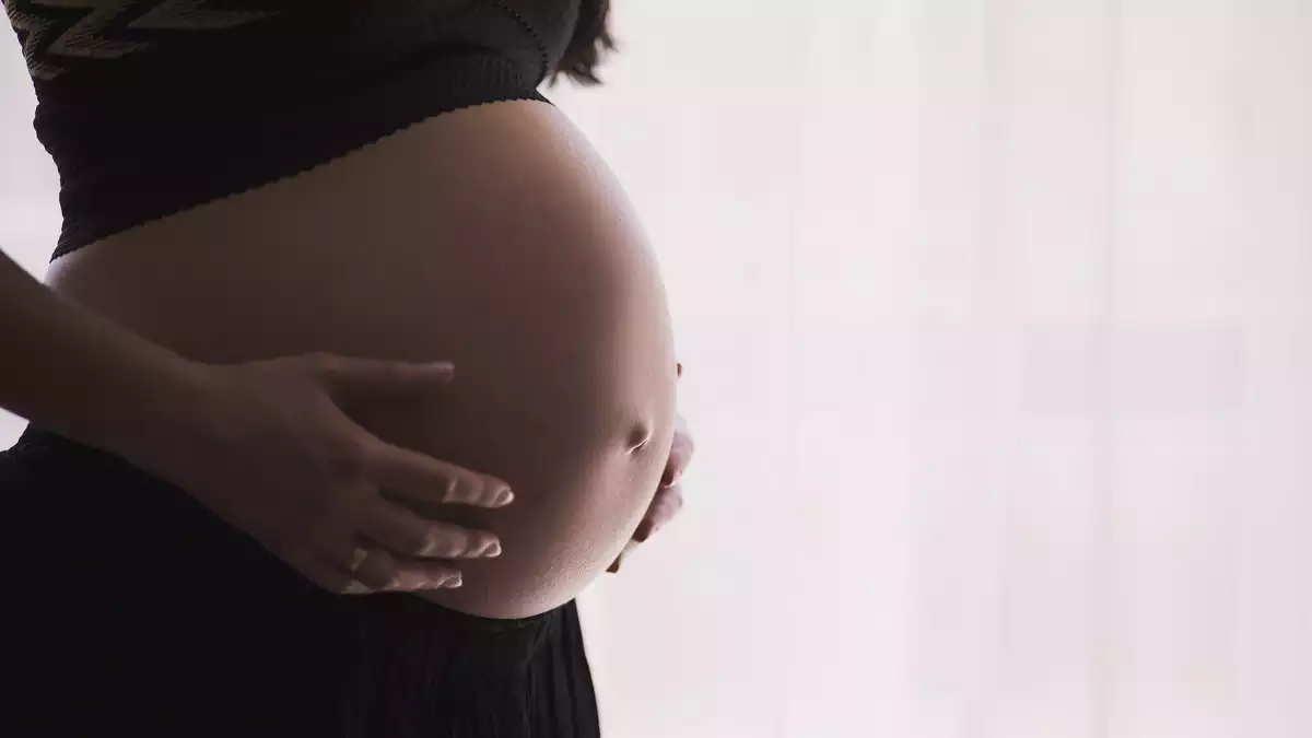 La contaminación aumenta el riesgo de aborto o de gestación en fecundación in vitro