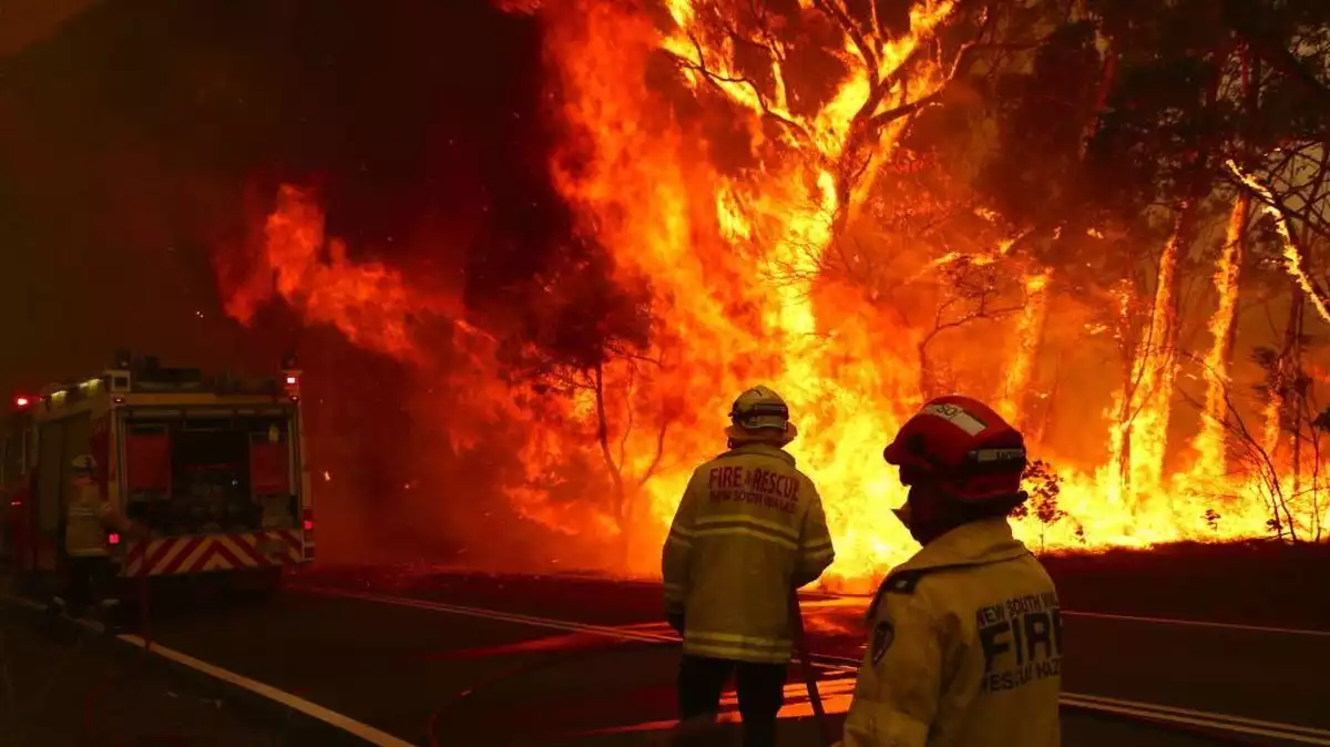 Imatge d'uns bombers intentant apagar un incendi forestal